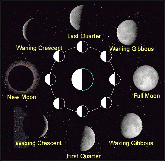 moon phases in order. The Phases of the Moon