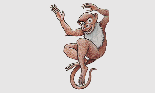  The Monkey