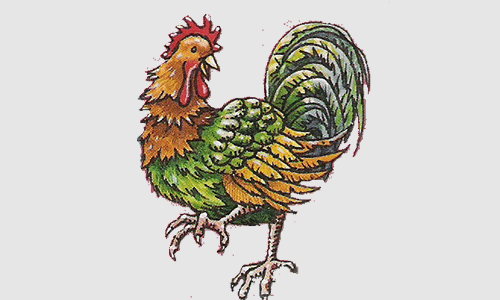 The Rooster