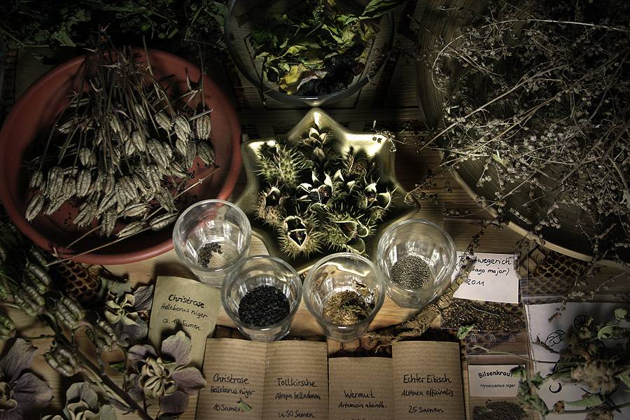 Magic Herb Recipes Witchcraft Pagan Wiccan Occult