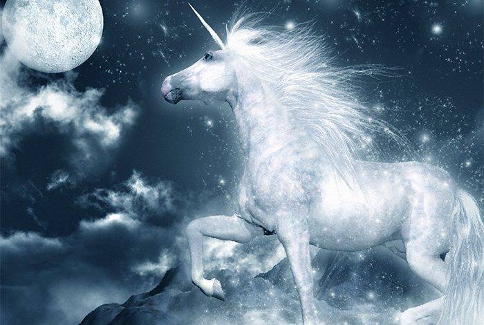 Exploring the Magickal World of Unicorns