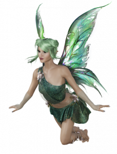 The World of Fairies