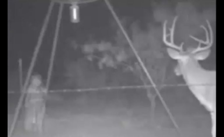  Haunting Video Footage of a Young Pilgrim Ghost in Texas