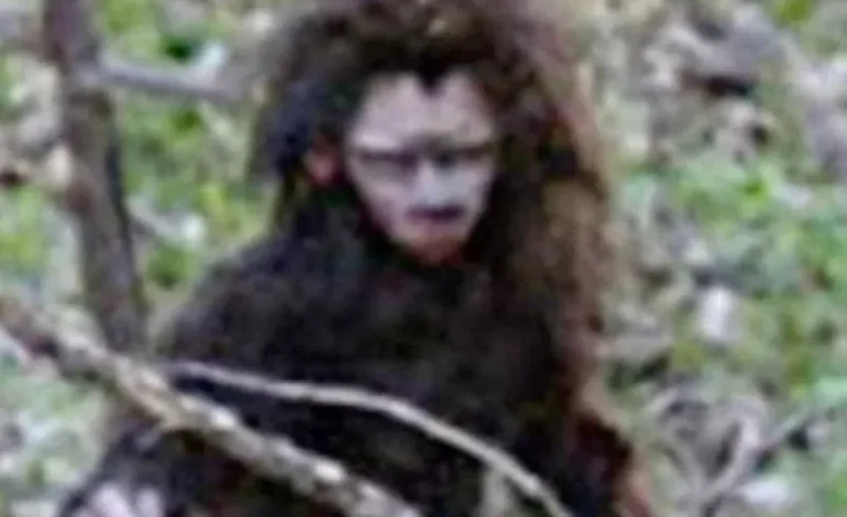 Mysterious ‘Baby Bigfoot’ Sighting Stirs Debate Among Cryptozoology Enthusiasts in Unnamed Woodland